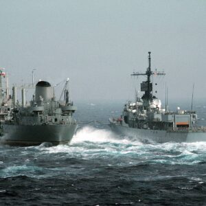 Portrait of two marines travelling in the sea